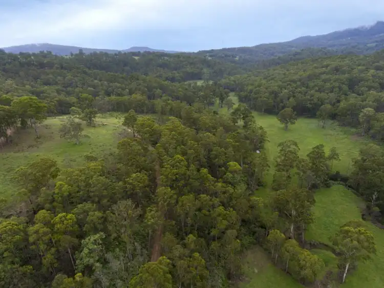 Seventh view of Homely rural property listing, 344 Flagstone Road, Legume NSW 2476