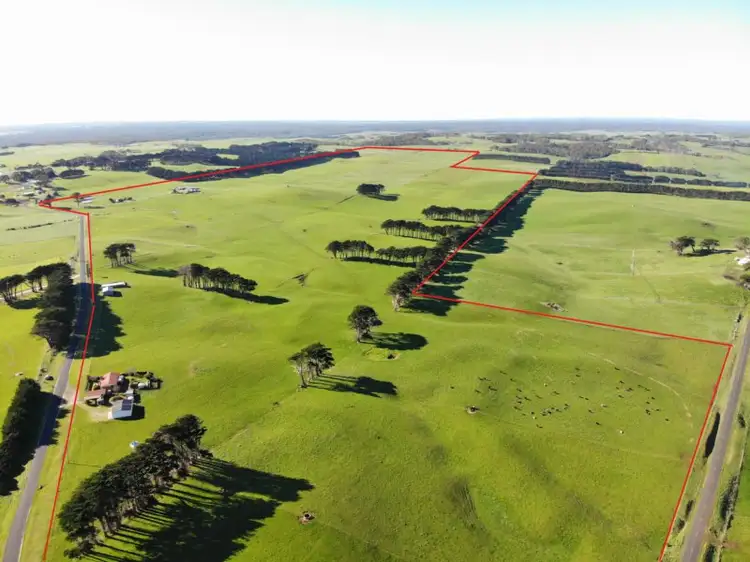 Main view of Homely rural property listing, 849 Comeback Road, Marrawah TAS 7330