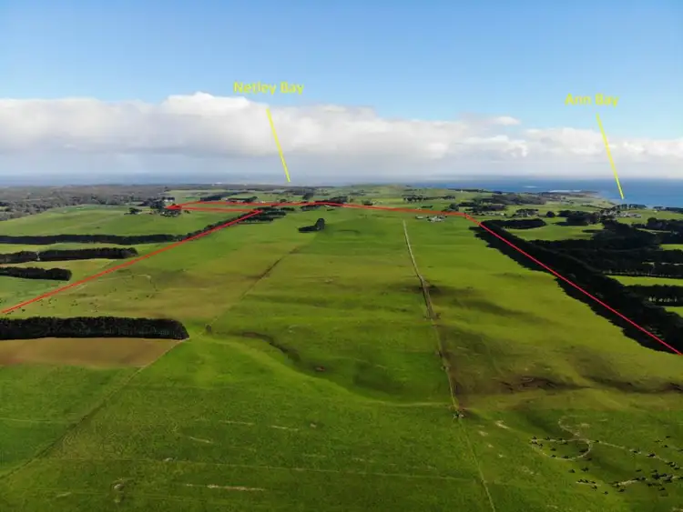 Second view of Homely rural property listing, 849 Comeback Road, Marrawah TAS 7330