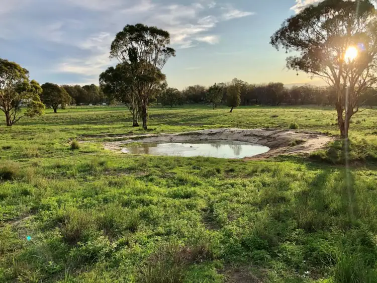 Third view of Homely rural property listing, 705 Sorrento Road, Dalveen QLD 4374