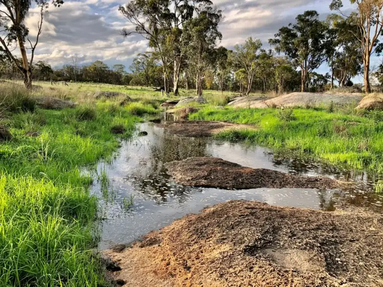 Fourth view of Homely rural property listing, 705 Sorrento Road, Dalveen QLD 4374