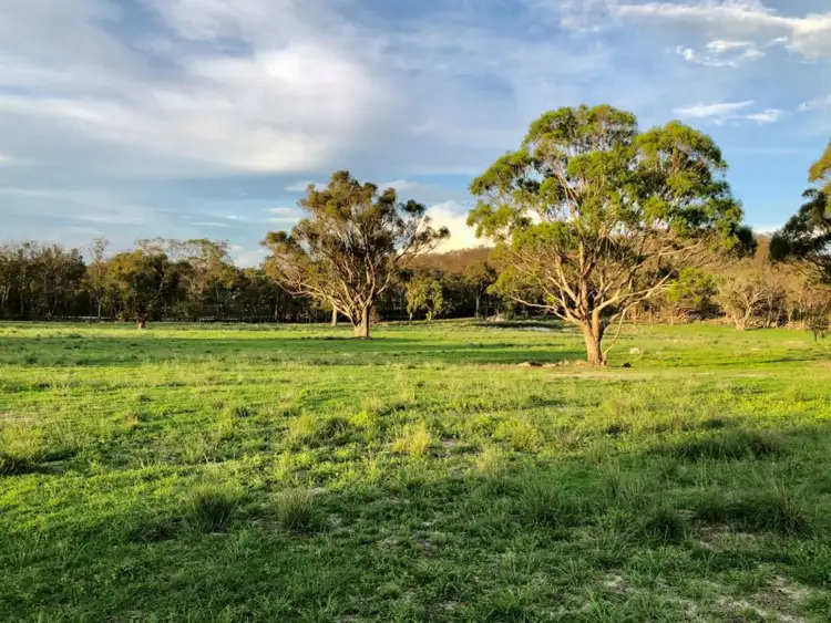 Sixth view of Homely rural property listing, 705 Sorrento Road, Dalveen QLD 4374