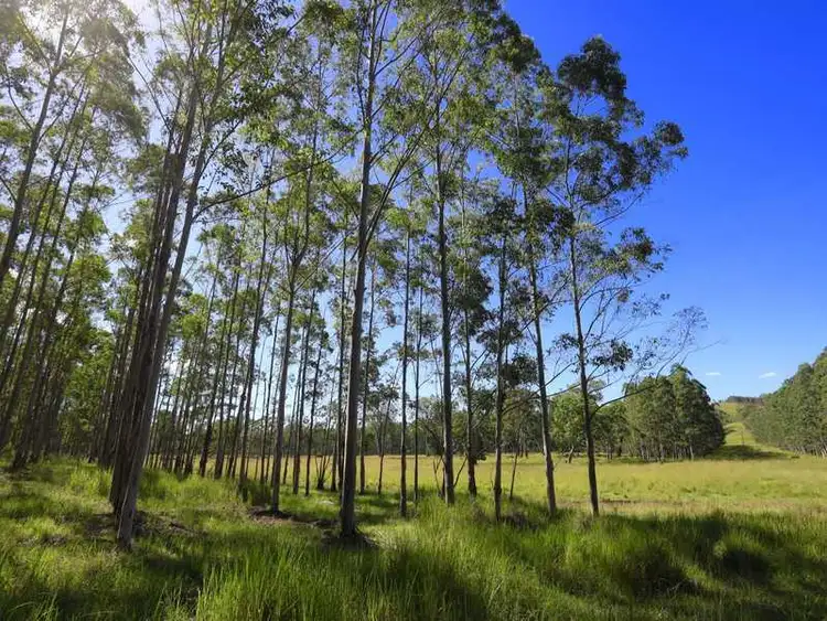 - Beaury Creek Beaury Creek Road, Urbenville NSW 2475