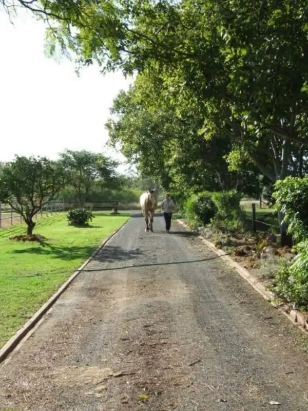 Third view of Homely rural property listing, 2 Logan Road, College View QLD 4343
