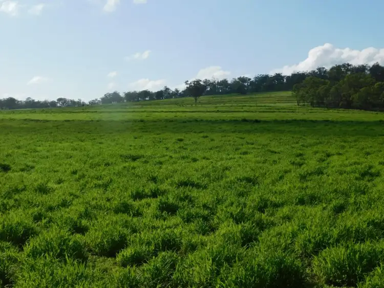 Fourth view of Homely land listing, 486 Womina-Willowvale Rd, Warwick QLD 4370