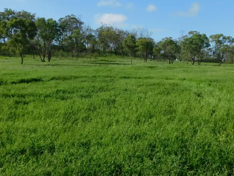 Fifth view of Homely land listing, 486 Womina-Willowvale Rd, Warwick QLD 4370