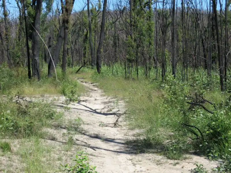 Main view of Homely land listing, 3219 Old Tenterfield Road, Busbys Flat NSW 2469