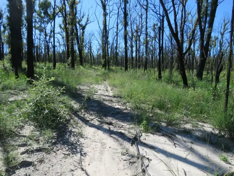 Sixth view of Homely land listing, 3219 Old Tenterfield Road, Busbys Flat NSW 2469