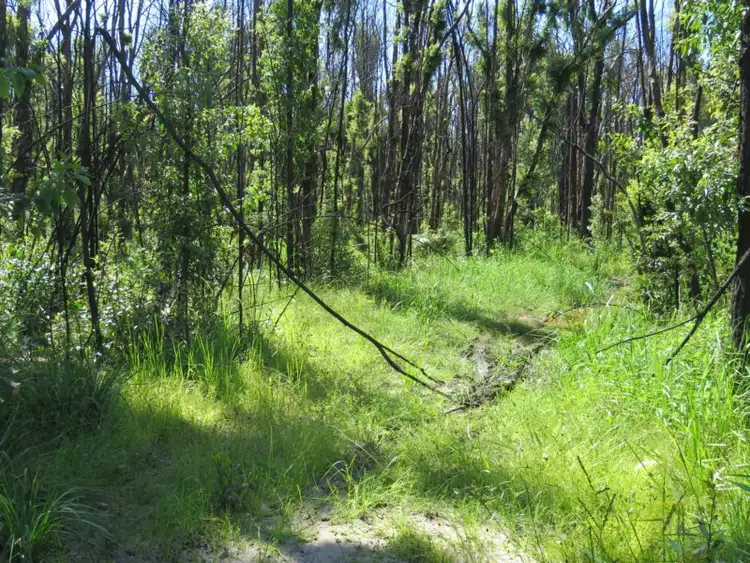 Seventh view of Homely land listing, 3219 Old Tenterfield Road, Busbys Flat NSW 2469