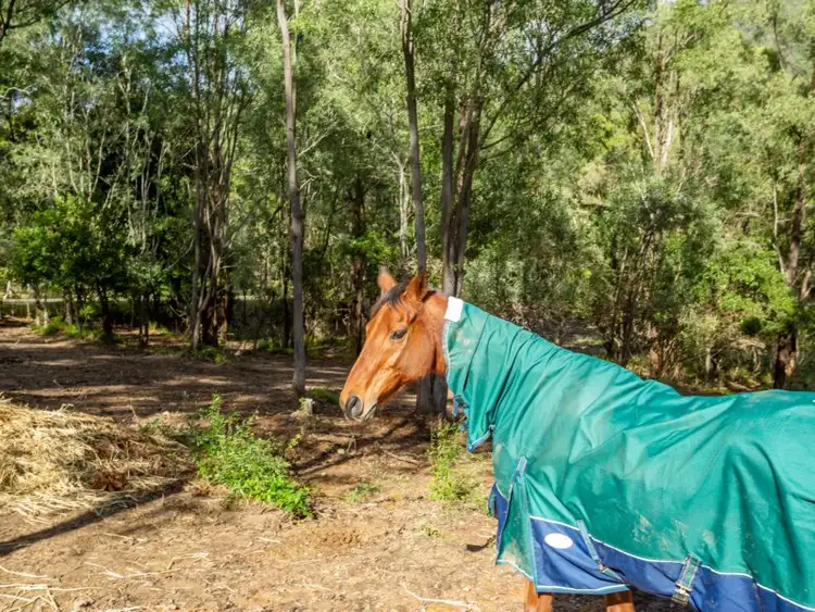 Sixth view of Homely house listing, 377 Worongary Road, Tallai QLD 4213