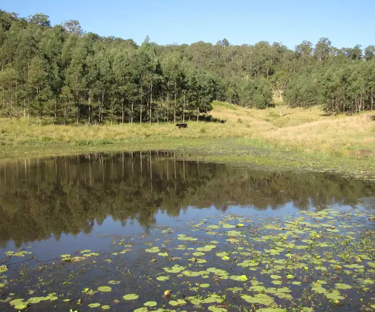 Second view of Homely rural property listing, - Summerland Way, Wiangaree NSW 2474