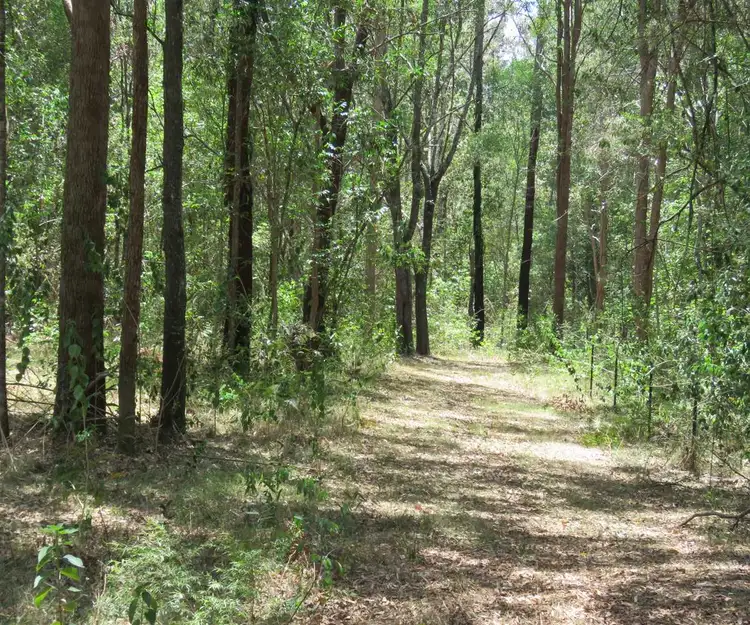 Second view of Homely land listing, 330 Ryans Road, Leeville NSW 2470