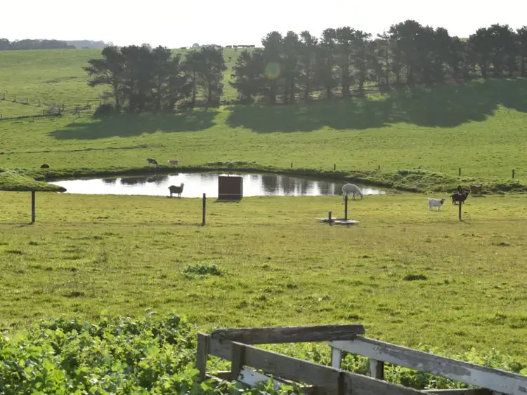 Second view of Homely rural property listing, 410 Dalyston-Glen Forbes Road, Ryanston VIC 3992