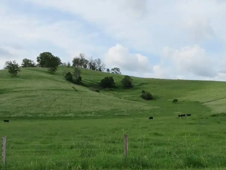 317 Grady's Creek Road, The Risk NSW 2474