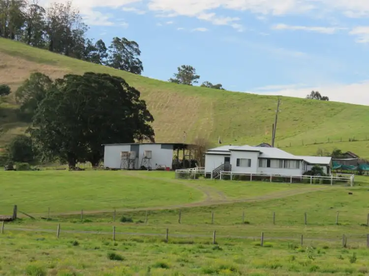 Second view of Homely rural property listing, 317 Grady's Creek Road, The Risk NSW 2474
