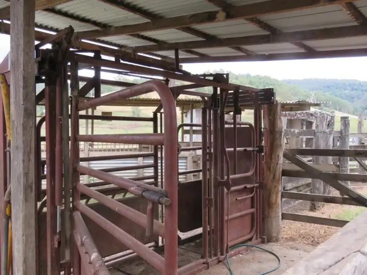 Fifth view of Homely rural property listing, 317 Grady's Creek Road, The Risk NSW 2474