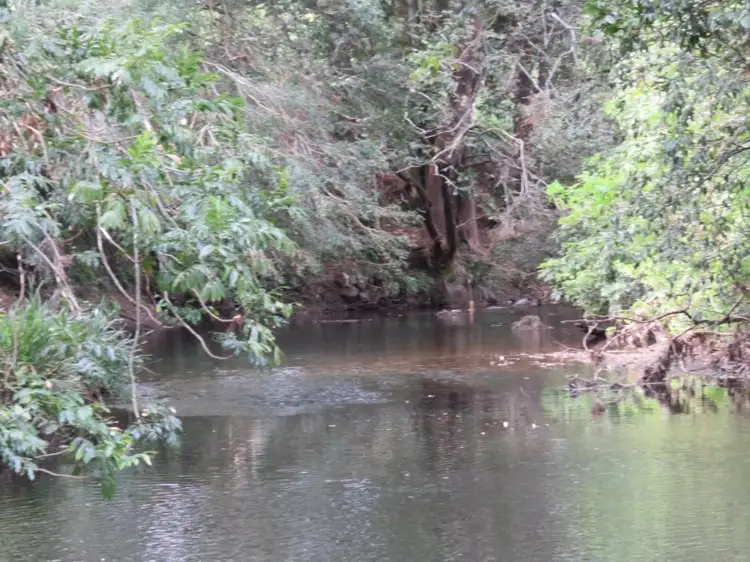 Sixth view of Homely rural property listing, 317 Grady's Creek Road, The Risk NSW 2474