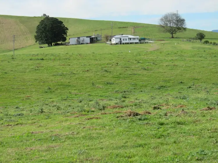 Seventh view of Homely rural property listing, 317 Grady's Creek Road, The Risk NSW 2474