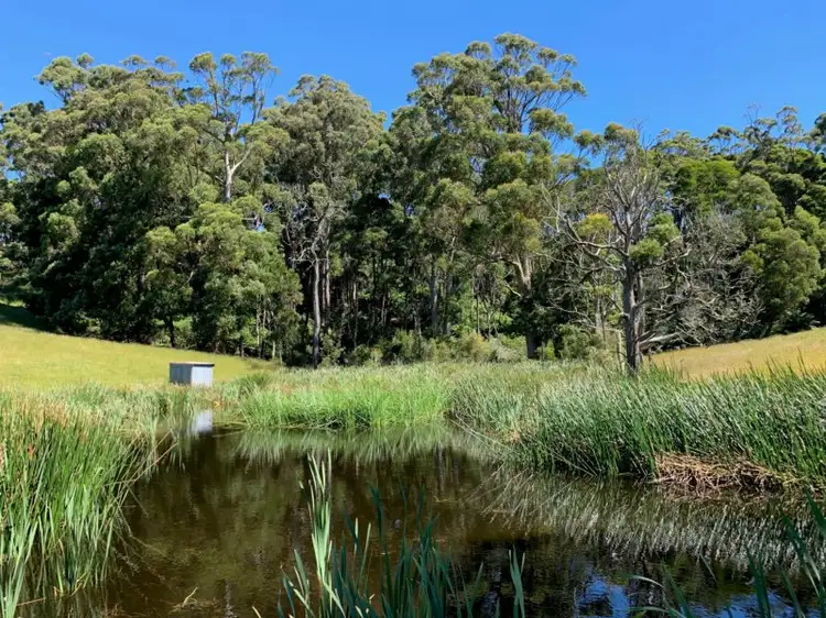 Third view of Homely rural property listing, 414 South Road, Alcomie TAS 7330