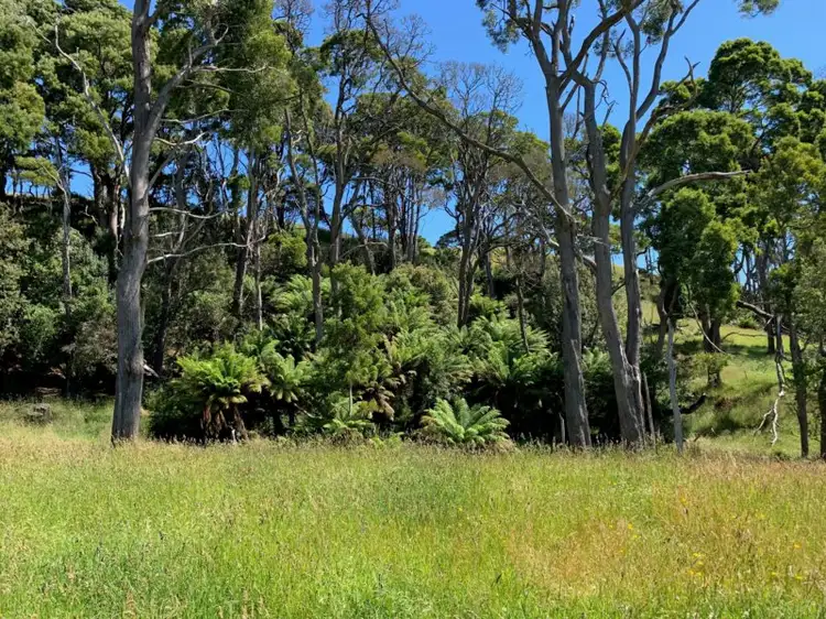 Sixth view of Homely rural property listing, 414 South Road, Alcomie TAS 7330