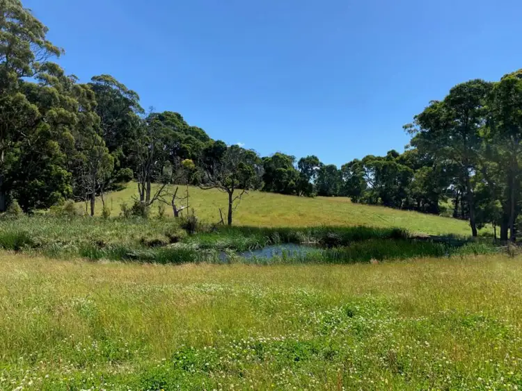 Seventh view of Homely rural property listing, 414 South Road, Alcomie TAS 7330