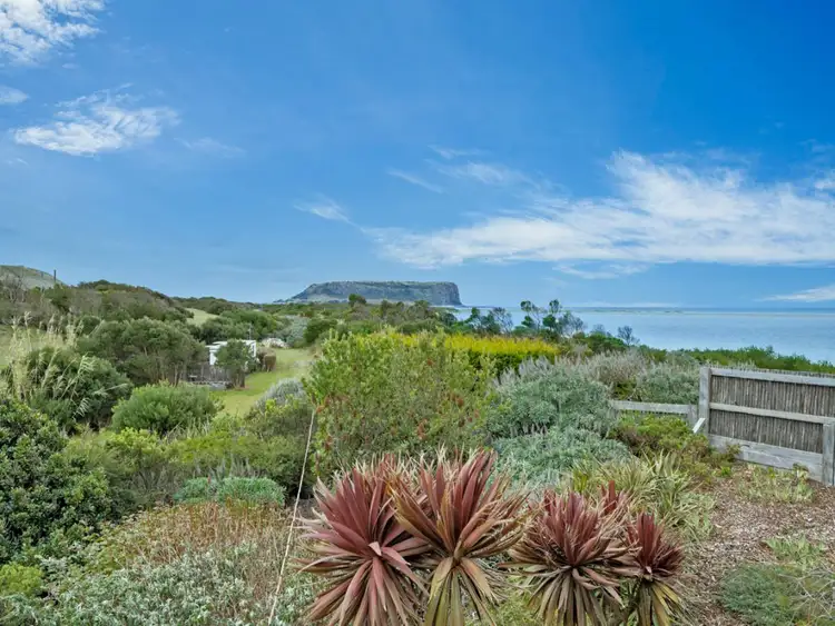 Seventh view of Homely rural property listing, 280 Stanley Highway, Stanley TAS 7331