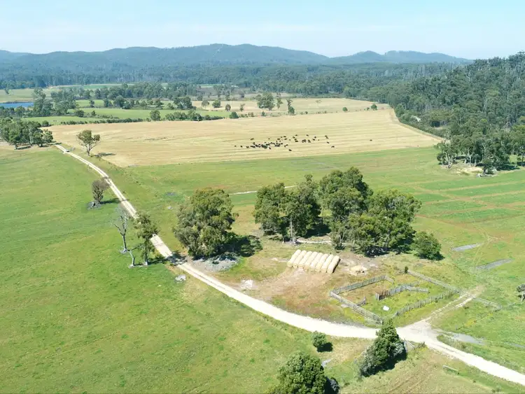Fifth view of Homely rural property listing, 300 Coopers Road, Rocky Cape TAS 7321