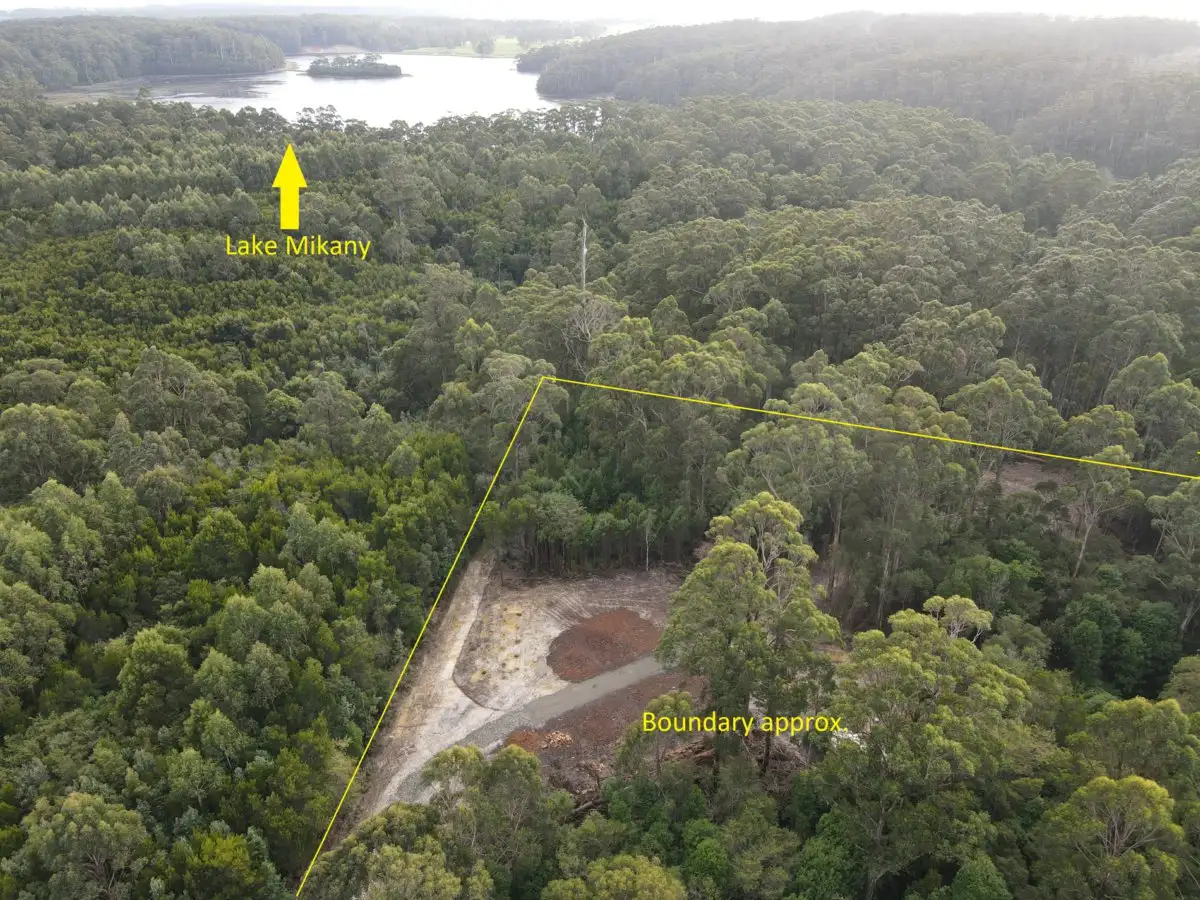 Main view of Homely rural property listing, Lot 4 Hilders Road, Irishtown TAS 7330