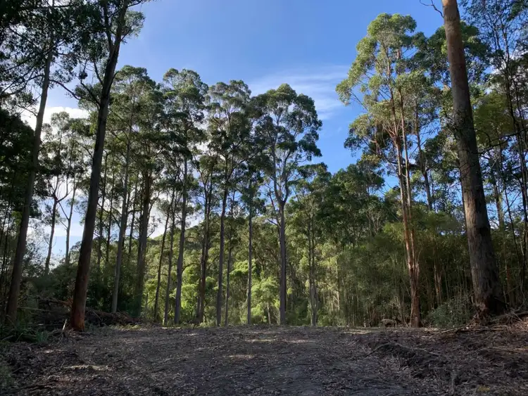 Second view of Homely rural property listing, Lot 4 Hilders Road, Irishtown TAS 7330
