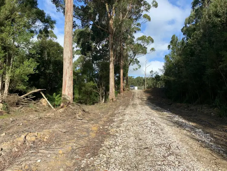 Sixth view of Homely rural property listing, Lot 4 Hilders Road, Irishtown TAS 7330