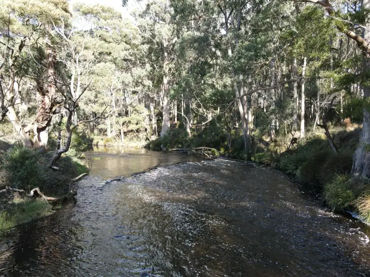 Fourth view of Homely land listing, . Backline Road, Forest TAS 7330