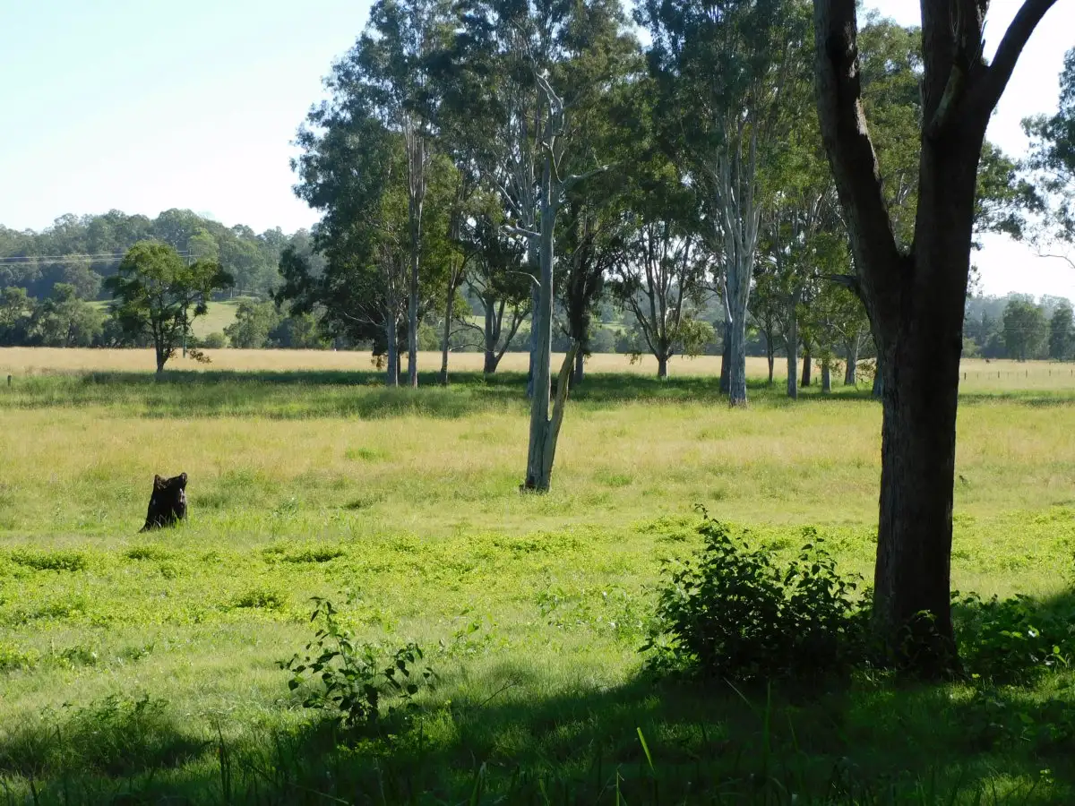 Main view of Homely rural property listing, 140 Dobies Bight Road, Dobies Bight NSW 2470