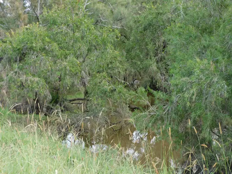 Third view of Homely rural property listing, 140 Dobies Bight Road, Dobies Bight NSW 2470