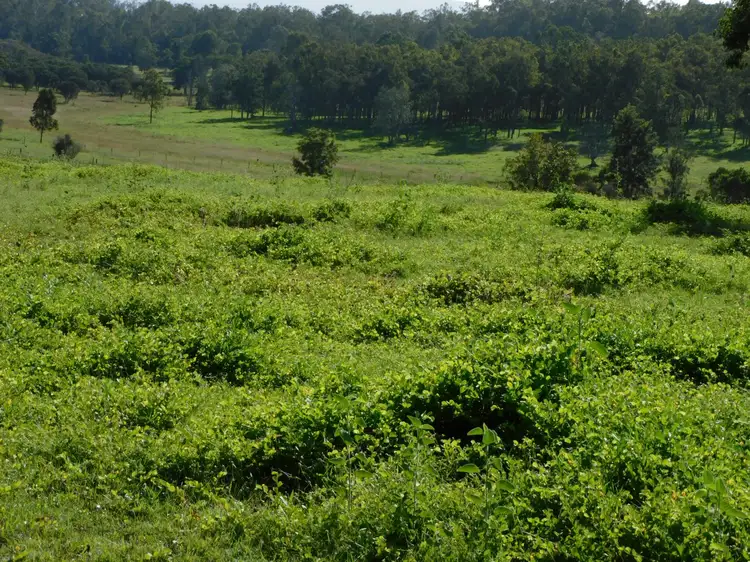 Fourth view of Homely rural property listing, 140 Dobies Bight Road, Dobies Bight NSW 2470
