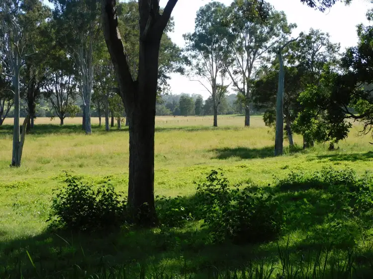 Fifth view of Homely rural property listing, 140 Dobies Bight Road, Dobies Bight NSW 2470