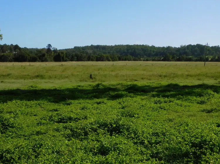 Seventh view of Homely rural property listing, 140 Dobies Bight Road, Dobies Bight NSW 2470