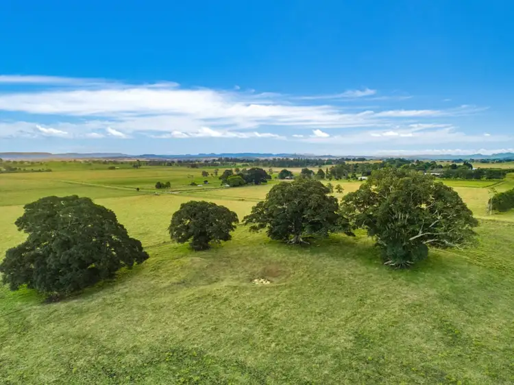 Main view of Homely rural property listing, 835 Reynolds Road, Backmede NSW 2470