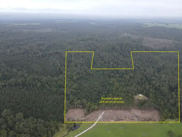 Fourth view of Homely rural property listing, 405 Maguires Road, Nabageena TAS 7330