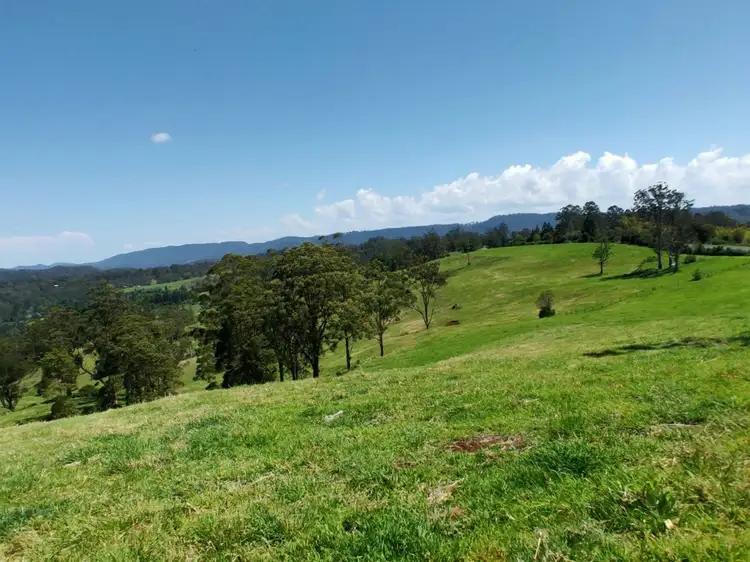 4743 Kyogle Road, Wadeville NSW 2474