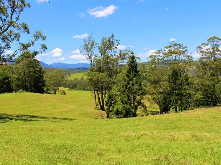 Main view of Homely rural property listing, 4753 Kyogle Road, Wadeville NSW 2474