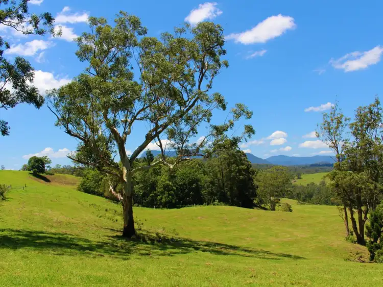 Second view of Homely rural property listing, 4753 Kyogle Road, Wadeville NSW 2474