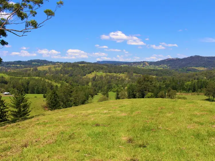 Fourth view of Homely rural property listing, 4753 Kyogle Road, Wadeville NSW 2474
