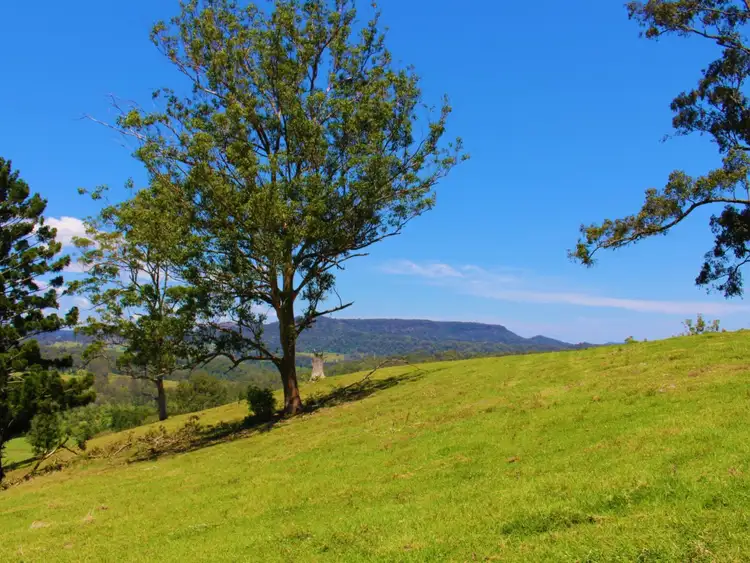 Sixth view of Homely rural property listing, 4753 Kyogle Road, Wadeville NSW 2474