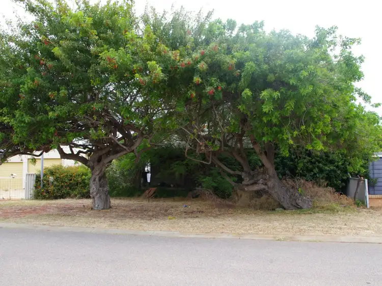 Third view of Homely house listing, 1 Grant Street, Beachlands WA 6530