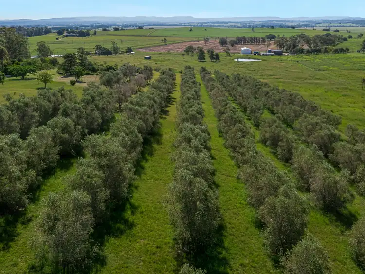 Second view of Homely land listing, Lot 5, 228A Backmede Road, Backmede NSW 2470