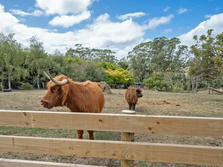 Sixth view of Homely rural property listing, 29 Nitida Drive, Smithton TAS 7330