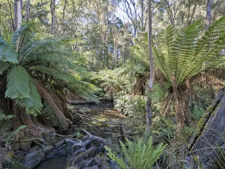 Third view of Homely rural property listing, 72 Grieves road, Alcomie TAS 7330