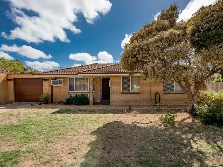 Main view of Homely house listing, 41A Newman Street, Spalding WA 6530