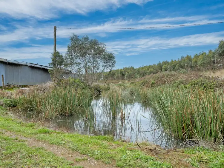 Third view of Homely rural property listing, 67 Reynolds Road, Trowutta TAS 7330