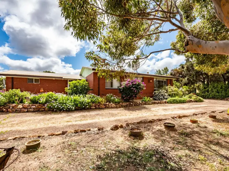 Main view of Homely house listing, 53 Stephen Road, Waggrakine WA 6530